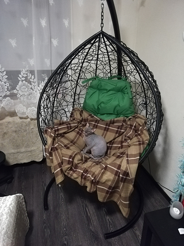 Подвесное кресло Tropica White фото покупателя 3